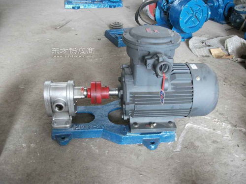 红旗高温泵厂专业设计生产 2cy 12 2.5齿轮油泵图片