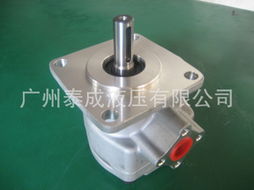 广州市番禺区石楼泰晟液压元件加工店 齿轮泵产品列表