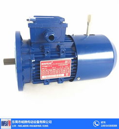 单相异步电动机接线图 揭阳单相异步电动机 明牌传动工厂