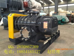 供应沼气罗茨鼓风机 价格选型 厂家直销,供应沼气罗茨鼓风机 价格选型 厂家直销生产厂家,供应沼气罗茨鼓风机 价格选型 厂家直销价格