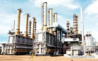 加德勒 心驰天地间,纵情阿拉善