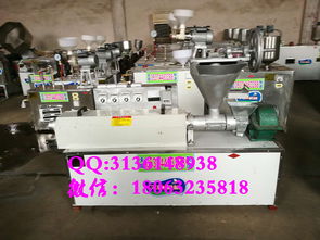 【包教技术新型牛排机价格厂家直销豆皮机工艺简单】- 