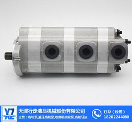 不锈钢齿轮马达 天津齿轮马达 行走液压齿轮泵 多图