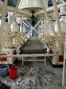 【武汉的木屑颗粒机】-