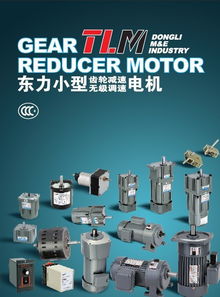 电动机 东力电机 北京 服务中心
