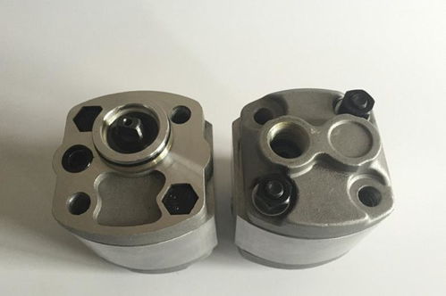 新闻 齿轮油泵cb fd16青海制造企业